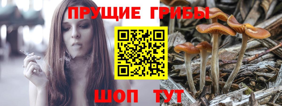 Псилоцибиновые грибы Magic Shrooms  Вход с VPN  Галлюциногенные грибы MAGIC MUSHROOMS  Махачкала 